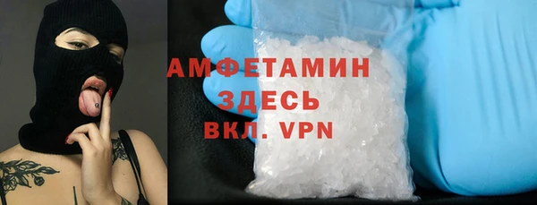 индика Алексеевка