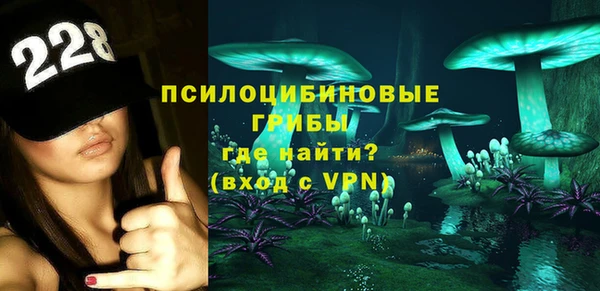 дмт Алексин