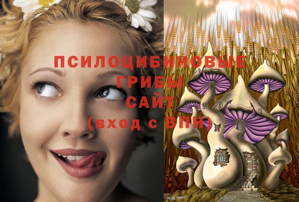 индика Алексеевка