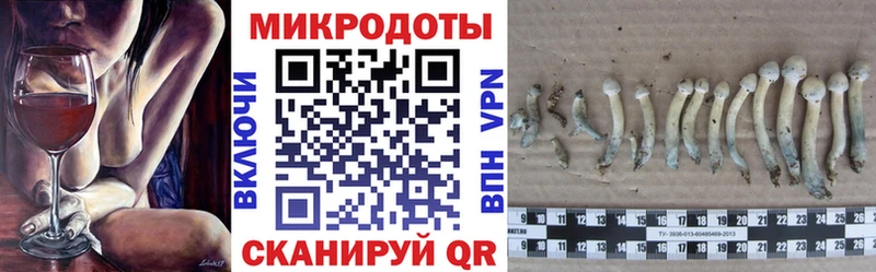 Галлюциногенные грибы GOLDEN TEACHER  Домодедово 